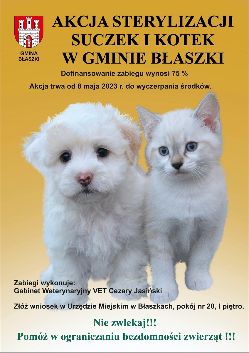 Akcja sterylizacji suczek i kotek w gminie Błaszki